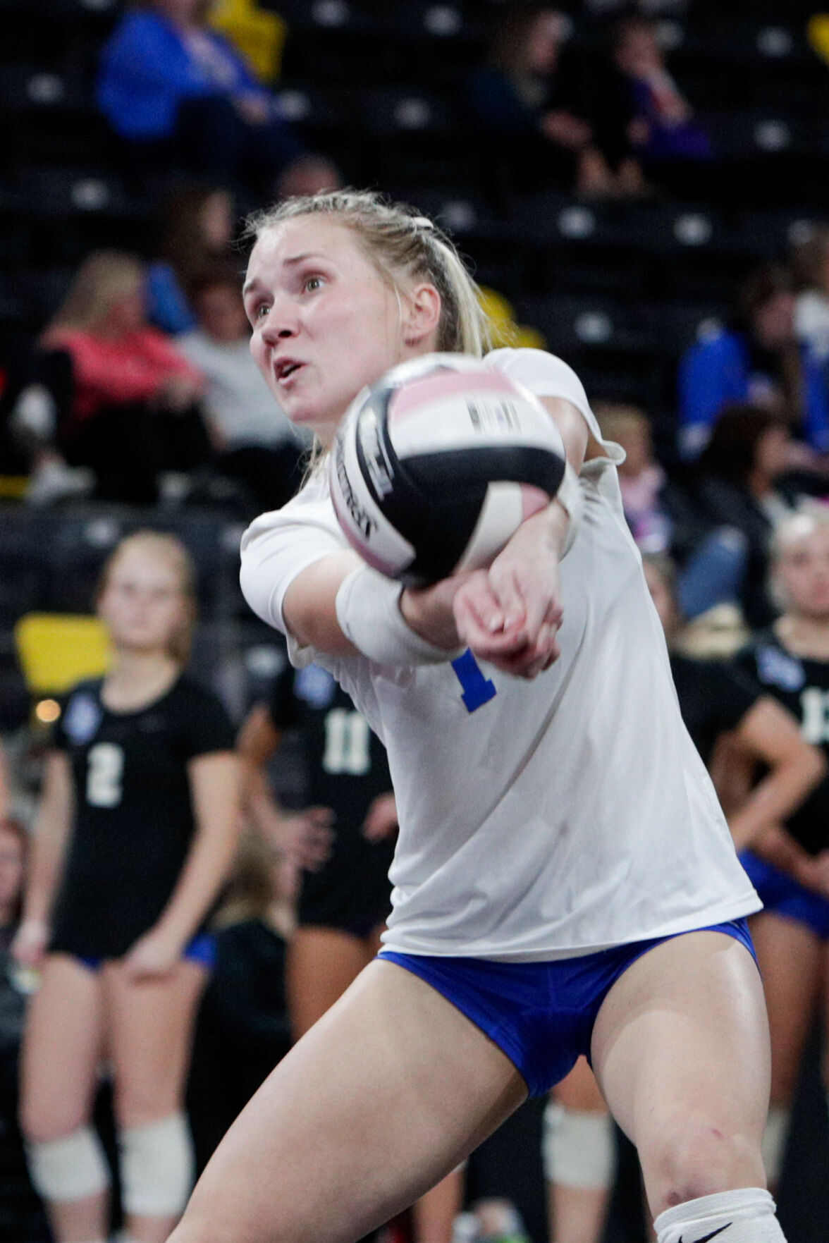 110122-qc-spt-volley-ball db-10.jpg